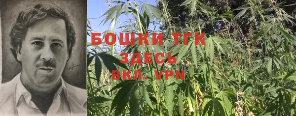 PSILOCYBIN Семилуки