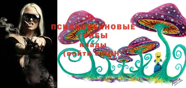 гидропоника Семёнов