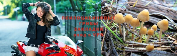 бошки Абаза