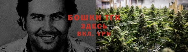 бошки Абаза